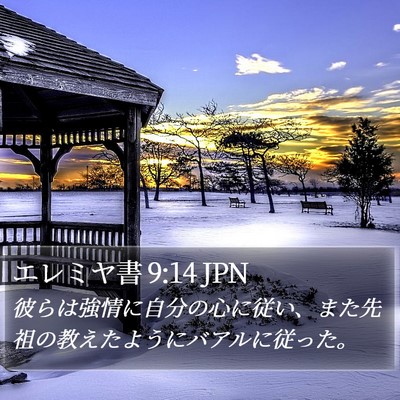 エレミヤ書 9:14 JPN Bible Verse Image