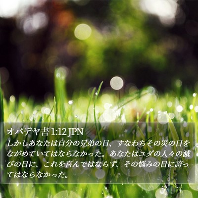 オバデヤ書 1:12 JPN Bible Verse Image
