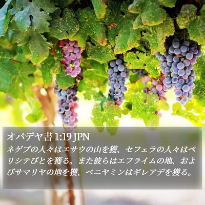 オバデヤ書 1:19 JPN Bible Verse Image