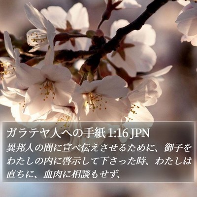 ガラテヤ人への手紙 1:16 JPN Bible Verse Image