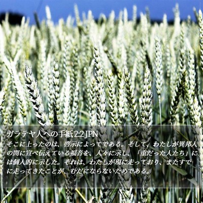 ガラテヤ人への手紙 2:2 JPN Bible Verse Image