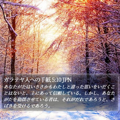 ガラテヤ人への手紙 5:10 JPN Bible Verse Image