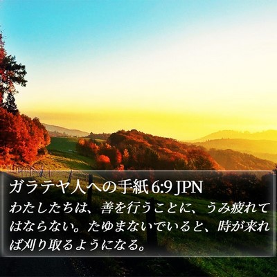 ガラテヤ人への手紙 6:9 JPN Bible Verse Image