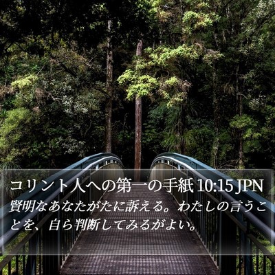 コリント人への第一の手紙 10:15 JPN Bible Verse Image