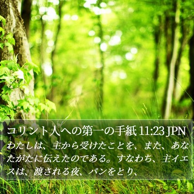 コリント人への第一の手紙 11:23 JPN Bible Verse Image