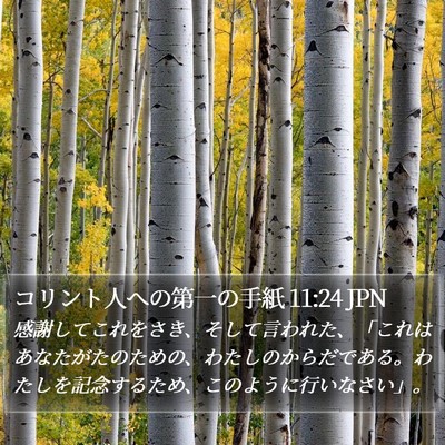 コリント人への第一の手紙 11:24 JPN Bible Verse Image