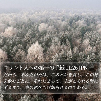 コリント人への第一の手紙 11:26 JPN Bible Verse Image