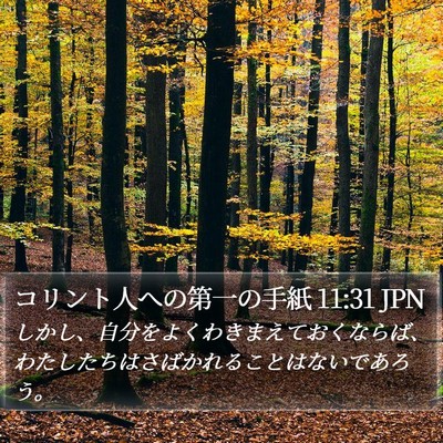 コリント人への第一の手紙 11:31 JPN Bible Verse Image