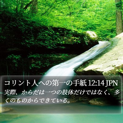コリント人への第一の手紙 12:14 JPN Bible Verse Image