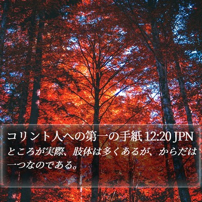 コリント人への第一の手紙 12:20 JPN Bible Verse Image