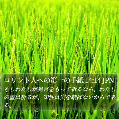コリント人への第一の手紙 14:14 JPN Bible Verse Image