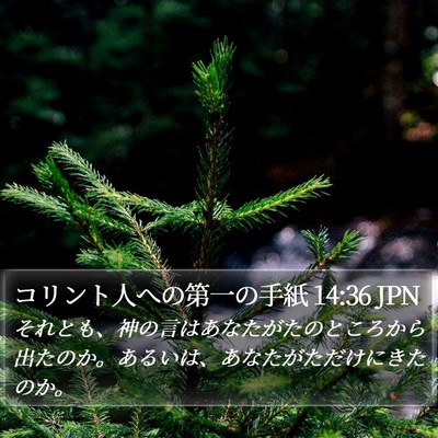 コリント人への第一の手紙 14:36 JPN Bible Verse Image