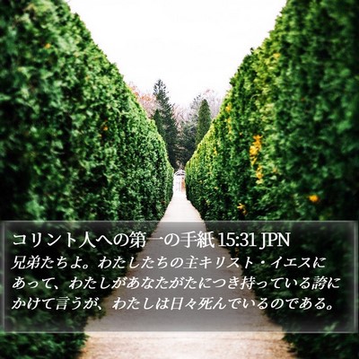 コリント人への第一の手紙 15:31 JPN Bible Verse Image