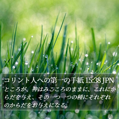 コリント人への第一の手紙 15:38 JPN Bible Verse Image