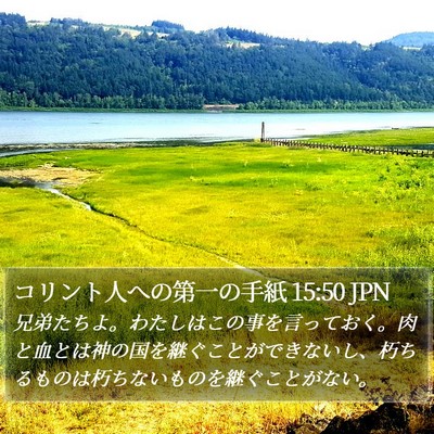 コリント人への第一の手紙 15:50 JPN Bible Verse Image