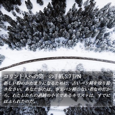 コリント人への第一の手紙 5:7 JPN Bible Verse Image