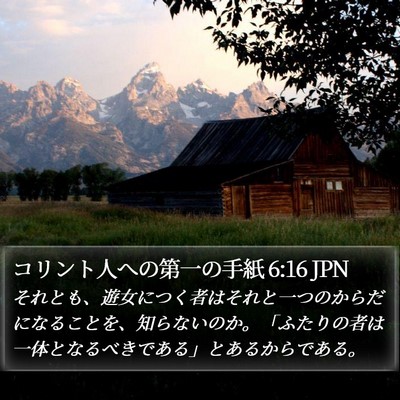 コリント人への第一の手紙 6:16 JPN Bible Verse Image