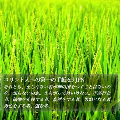 コリント人への第一の手紙 6:9 JPN Bible Verse Image