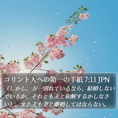 コリント人への第一の手紙 7:11 JPN Bible Verse Image