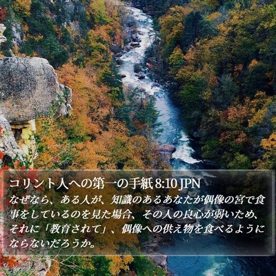 コリント人への第一の手紙 8:10 JPN Bible Verse Image