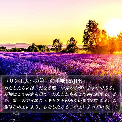 コリント人への第一の手紙 8:6 JPN Bible Verse Image