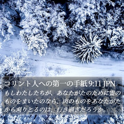 コリント人への第一の手紙 9:11 JPN Bible Verse Image