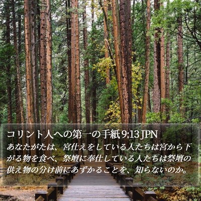 コリント人への第一の手紙 9:13 JPN Bible Verse Image