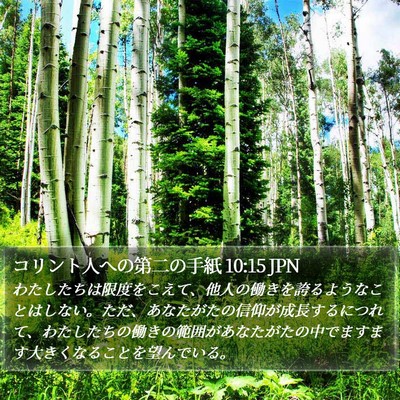 コリント人への第二の手紙 10:15 JPN Bible Verse Image