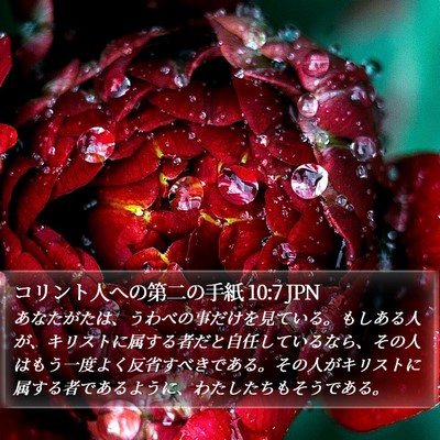 コリント人への第二の手紙 10:7 JPN Bible Verse Image