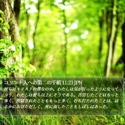 コリント人への第二の手紙 11:23 JPN Bible Verse Image