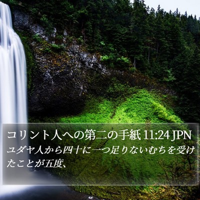 コリント人への第二の手紙 11:24 JPN Bible Verse Image