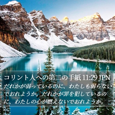 コリント人への第二の手紙 11:29 JPN Bible Verse Image
