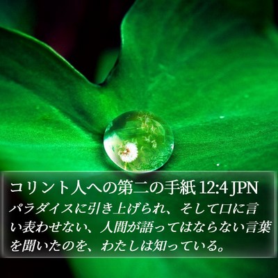 コリント人への第二の手紙 12:4 JPN Bible Verse Image