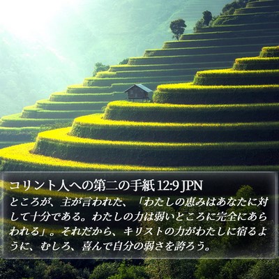 コリント人への第二の手紙 12:9 JPN Bible Verse Image