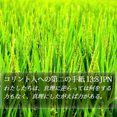 コリント人への第二の手紙 13:8 JPN Bible Verse Image