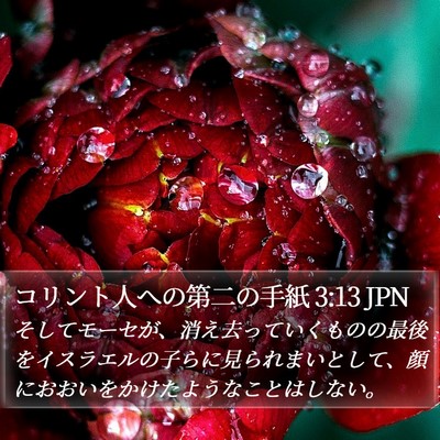 コリント人への第二の手紙 3:13 JPN Bible Verse Image
