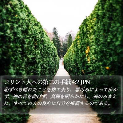 コリント人への第二の手紙 4:2 JPN Bible Verse Image