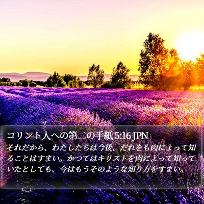 コリント人への第二の手紙 5:16 JPN Bible Verse Image