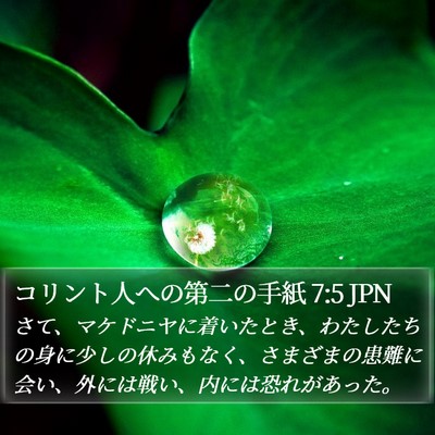 コリント人への第二の手紙 7:5 JPN Bible Verse Image