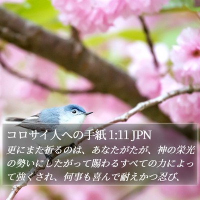 コロサイ人への手紙 1:11 JPN Bible Verse Image