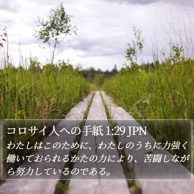 コロサイ人への手紙 1:29 JPN Bible Verse Image