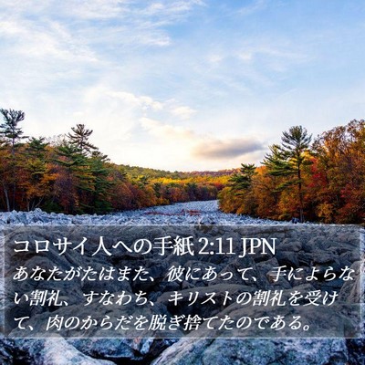 コロサイ人への手紙 2:11 JPN Bible Verse Image