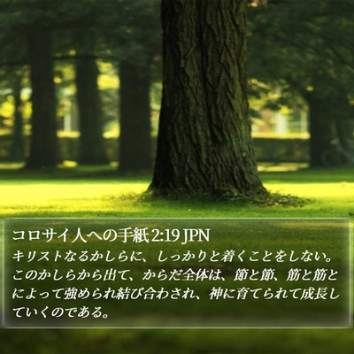 コロサイ人への手紙 2:19 JPN Bible Verse Image