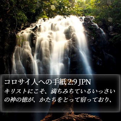 コロサイ人への手紙 2:9 JPN Bible Verse Image