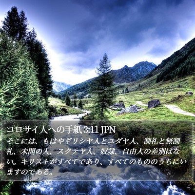 コロサイ人への手紙 3:11 JPN Bible Verse Image