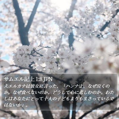 サムエル記上 1:8 JPN Bible Verse Image