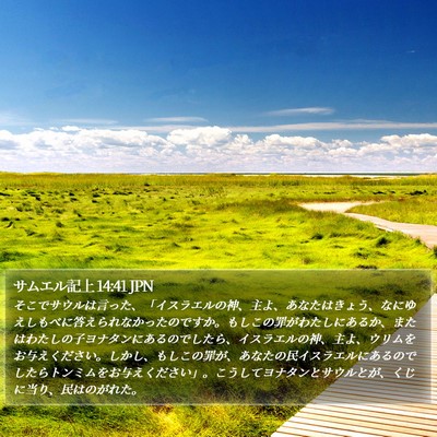 サムエル記上 14:41 JPN Bible Verse Image