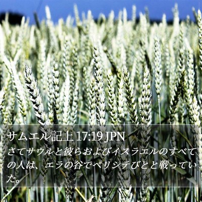 サムエル記上 17:19 JPN Bible Verse Image
