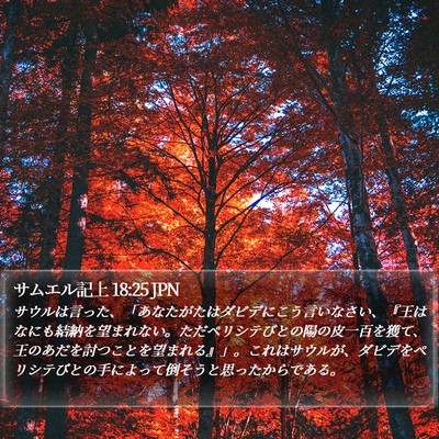 サムエル記上 18:25 JPN Bible Verse Image