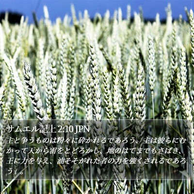 サムエル記上 2:10 JPN Bible Verse Image